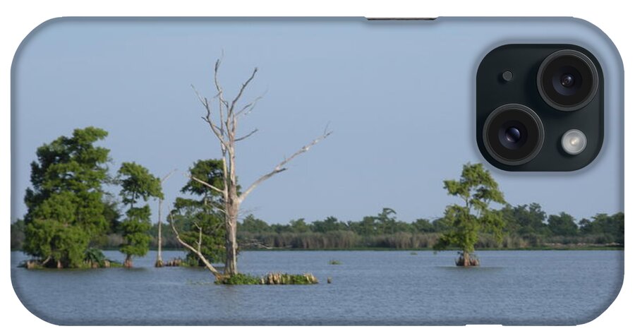 Water Lilly iPhone Case featuring the photograph Swamp Cypress Trees by Joseph Baril