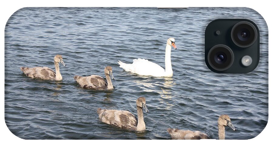 Swan And His Ducklings iPhone Case featuring the photograph Swan and his Ducklings by John Telfer