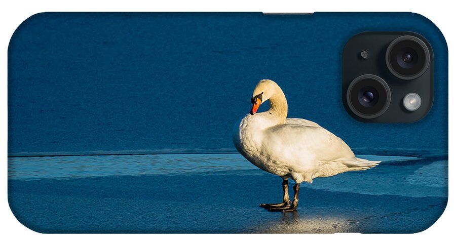 Swan iPhone Case featuring the photograph Swan In Last Sunlight On Frozen Lake by Andreas Berthold