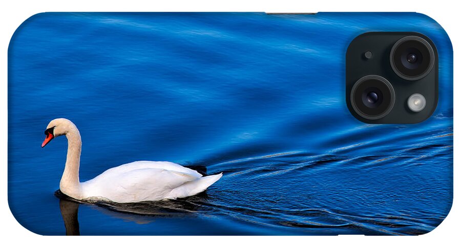 Swan iPhone Case featuring the photograph Swan Lake by Adrian Evans