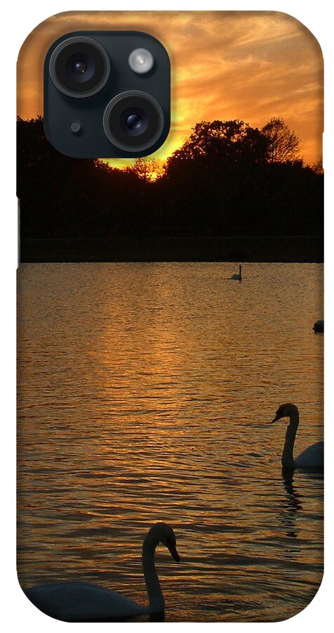 Swan iPhone Case featuring the photograph Swan Lake by John Topman