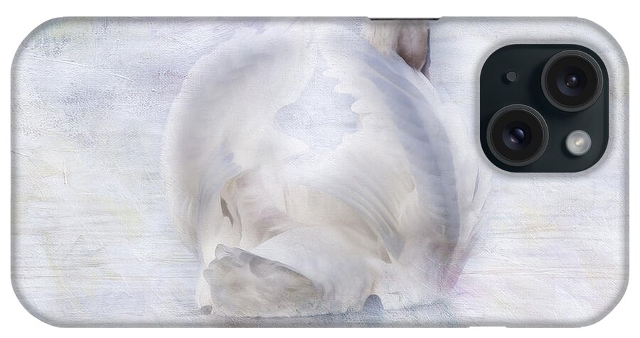 Swans iPhone Case featuring the photograph Swan Lake by Melinda Dreyer