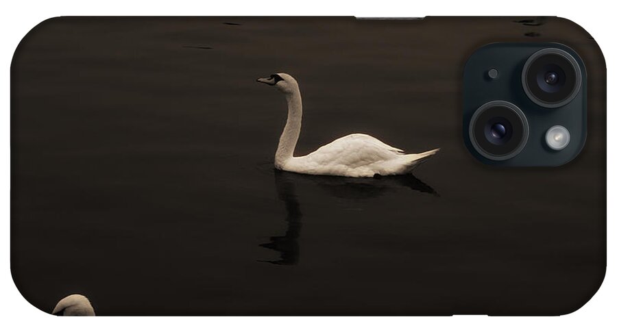 Swans iPhone Case featuring the photograph Swan Lake Sepia by Joseph Hedaya