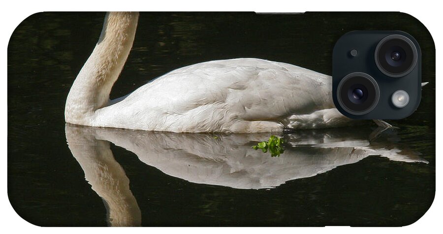 Swan iPhone Case featuring the photograph Swan Reflection by John Topman