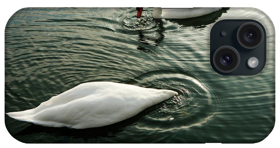 Hyde Park iPhone Case featuring the photograph Swans, Hyde Park by Oliver Strewe