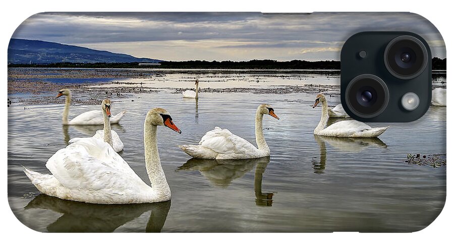 Water iPhone Case featuring the photograph Swans by Ivan Slosar