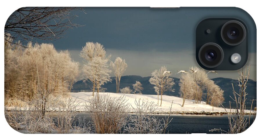 Swans iPhone Case featuring the photograph Swans on a Frosty Day by Randi Grace Nilsberg