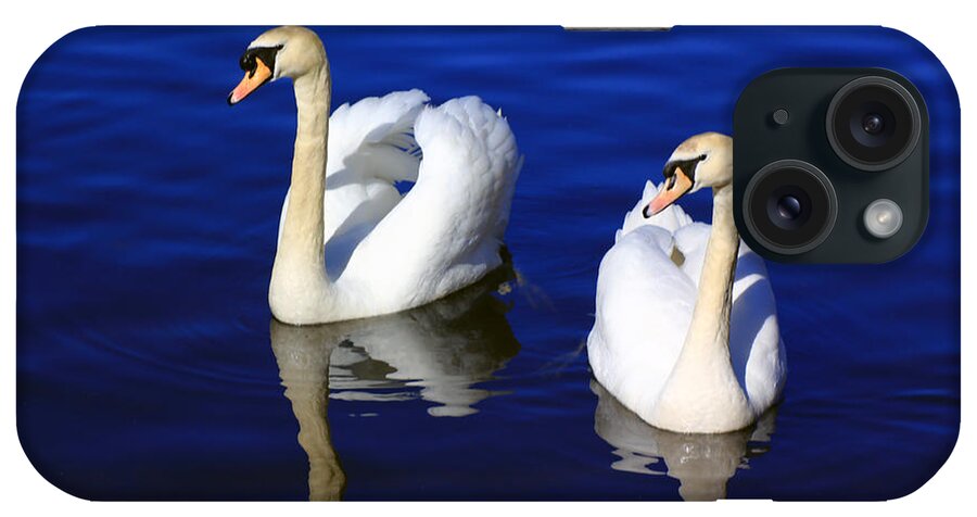 Mute Swan iPhone Case featuring the photograph Swans on the Lake by Jennifer Robin