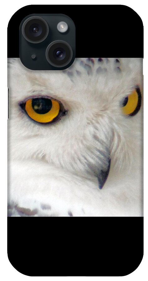 Owl iPhone Case featuring the photograph Sweet angry by Lily K