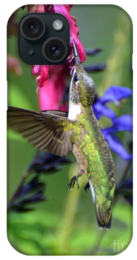 Birds iPhone Case featuring the photograph Sweet Hummer by Kathy Baccari
