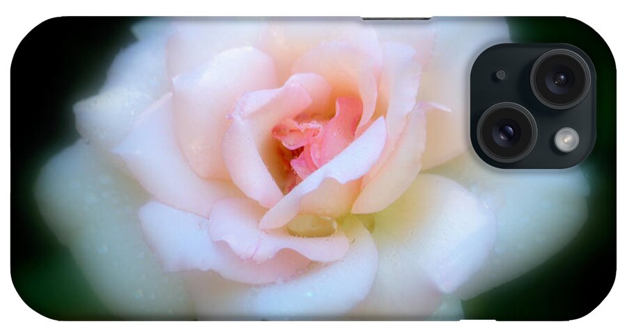Sweet Rose iPhone Case featuring the photograph Sweet Rose by Patrick Witz