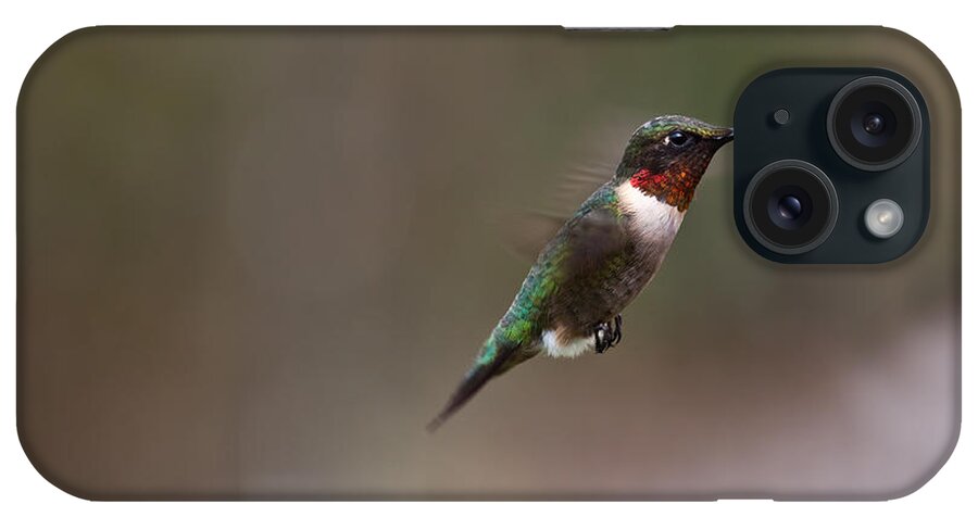 Hummingbird iPhone Case featuring the photograph Sweet Stuff Ahead by Mark Alder