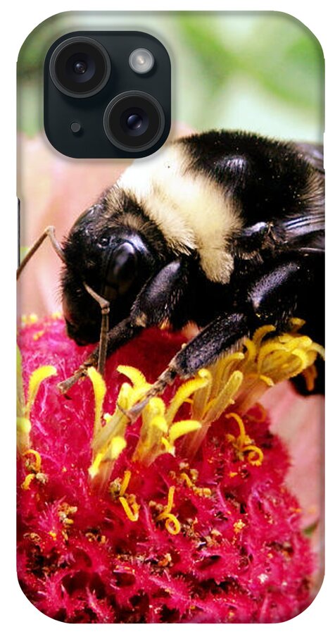 Bee iPhone Case featuring the photograph Sweet Talk by Zinvolle Art