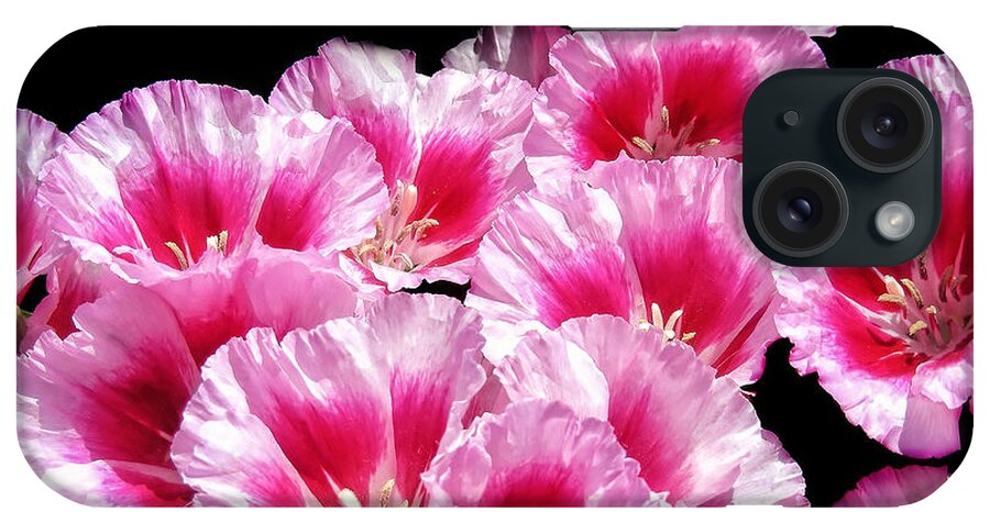Pink Red iPhone Case featuring the photograph Sweet William Bouquet by Mary Lane