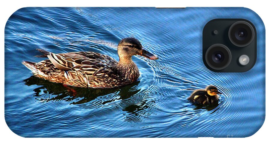 Duck iPhone Case featuring the photograph Swimming Lesson by Judy Palkimas