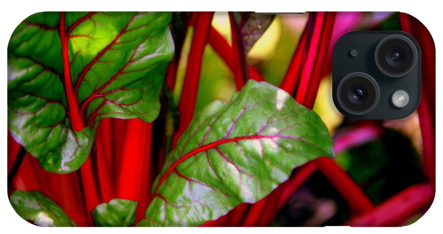 Kettuce iPhone Case featuring the photograph Swiss Chard Forest by Karen Wiles