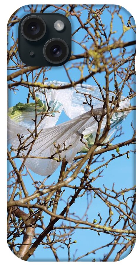 Sycamore iPhone Case featuring the photograph Sycamore And Plastic Bag by David Woodfall Images/science Photo Library