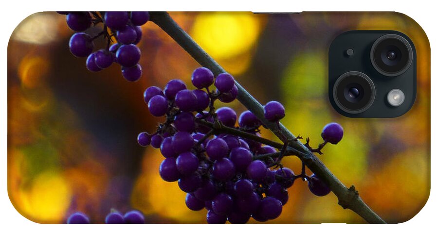 Purple iPhone Case featuring the photograph Symphony by Connie Handscomb