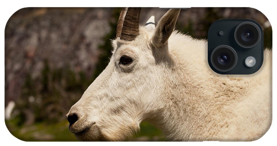 Mountain Goat iPhone Case featuring the photograph Take My Photo Please by Bruce Gourley