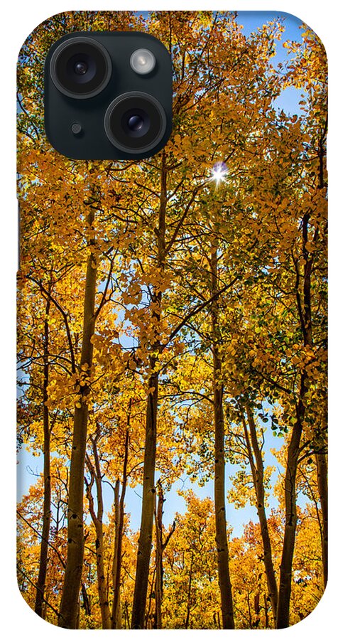 Aspen Trees iPhone Case featuring the photograph Tall Aspen with Sunstar by Dawn Key