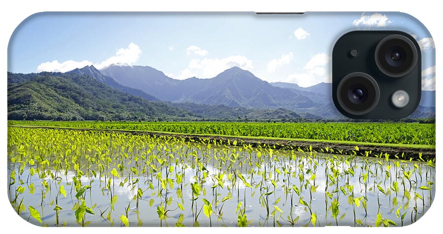 Afternoon iPhone Case featuring the photograph Taro Field by Kicka Witte - Printscapes