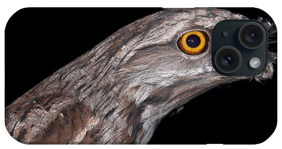 Bird iPhone Case featuring the photograph Tawny Frogmouth by Michelle Wrighton