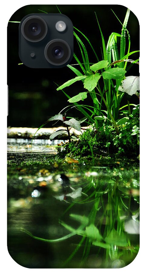 Swamp iPhone Case featuring the photograph Tears and Mirth by Rebecca Sherman