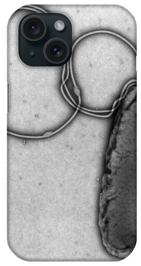 Helicobacter Pylori iPhone Case featuring the photograph Tem Of A Helicobacter Pylori Bacterium by A. Dowsett, Public Health England/science Photo Library