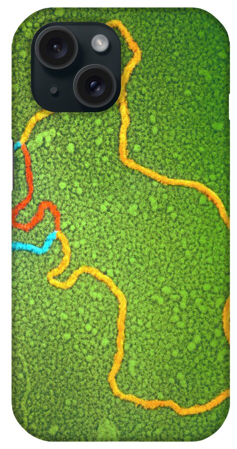 Tem iPhone Case featuring the photograph Tem Of Circular Loop Of Bacterial Dna by P.a. Mcturk, University Of Leicester, & David Parker/science Photo Library