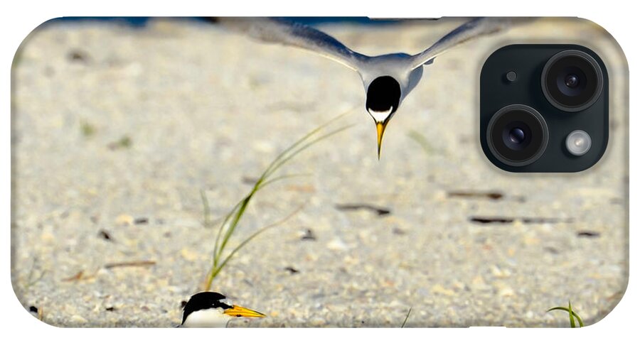 Least Tern iPhone Case featuring the photograph Tern Over by AnnaJo Vahle