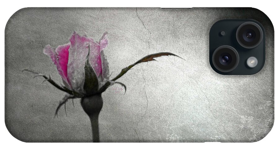 Rose iPhone Case featuring the mixed media Tess's Rose by Trish Tritz