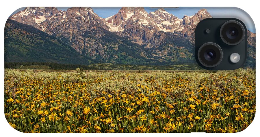 Mountains iPhone Case featuring the photograph Tetons and Yellow by Edward R Wisell