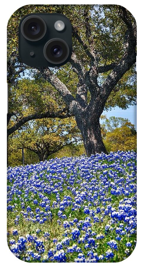 Best Texas Landscape iPhone Case featuring the photograph Texas Bluebonnet Hill in Austin by Kristina Deane