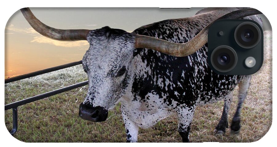 Texas iPhone Case featuring the photograph Texas Longhorn by Paul Anderson