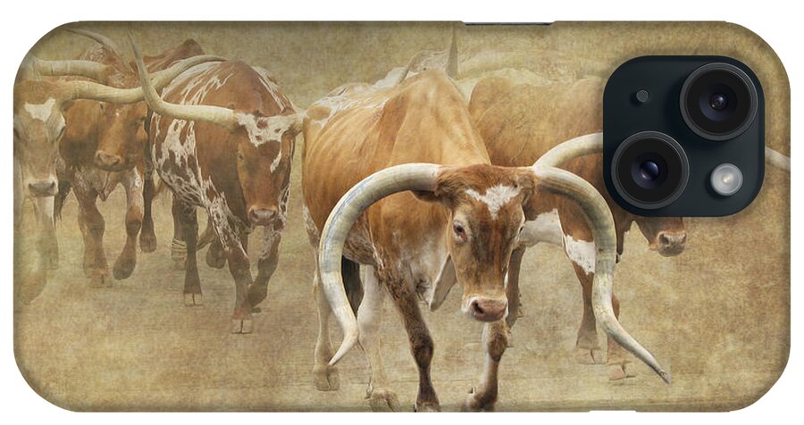 Texas Longhorn iPhone Case featuring the photograph Texas Longhorns 2 by Angie Vogel