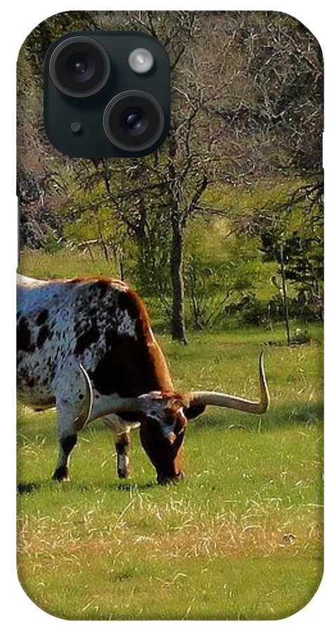 Texas iPhone Case featuring the photograph Texas Longhorns by Janette Boyd