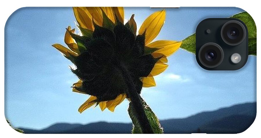 Summer iPhone Case featuring the photograph That Sunflower Tho #flowerpictures by Caleb Kast
