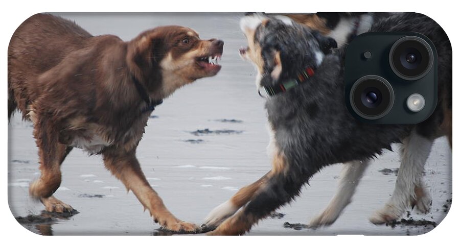 Dogs iPhone Case featuring the photograph The argument by Richard Hinger