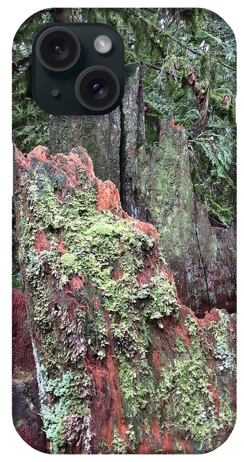 Forest iPhone Case featuring the photograph The Art of the Forest 2 by Kate Gibson Oswald