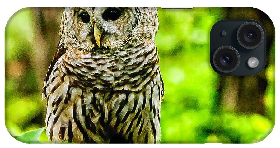 Barred Owl iPhone Case featuring the photograph The Barred Owl by Louis Dallara