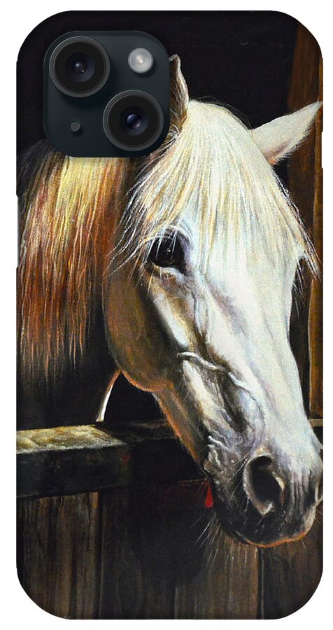 White Horse iPhone Case featuring the photograph The Beauty Of A White Horse by Sandi OReilly