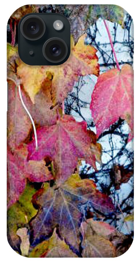 Color iPhone Case featuring the photograph The Beauty of Change by Barbara J Blaisdell
