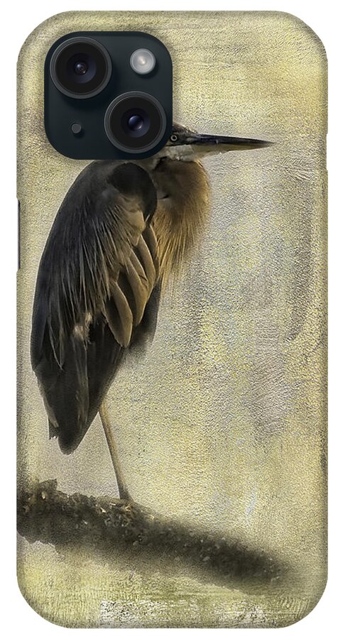 Great Blue Herons iPhone Case featuring the photograph The Boss by Melinda Dreyer