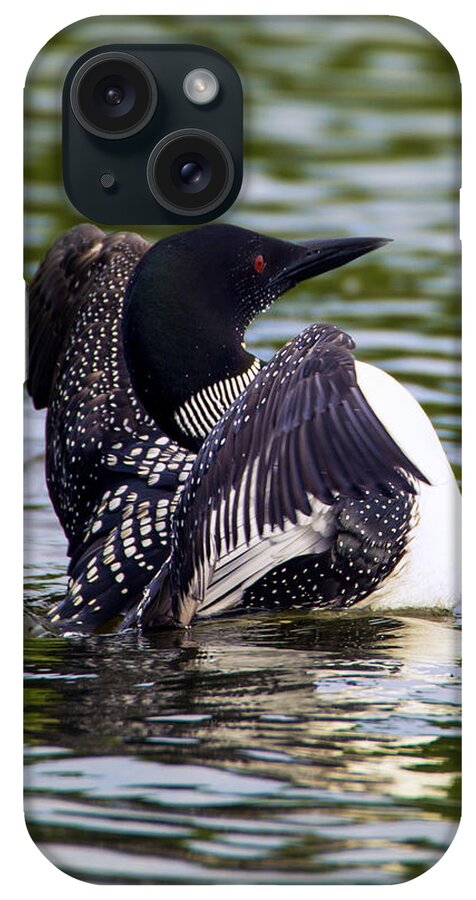 Bird iPhone Case featuring the photograph The Common Loon by Bill and Linda Tiepelman