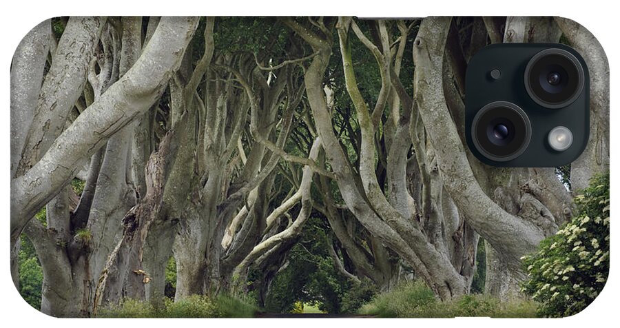 County Antrim iPhone Case featuring the photograph The Dark Hedges, Northern Ireland by John Shaw