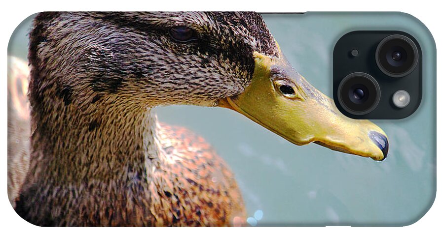 Animal iPhone Case featuring the photograph The Duck by Milena Ilieva