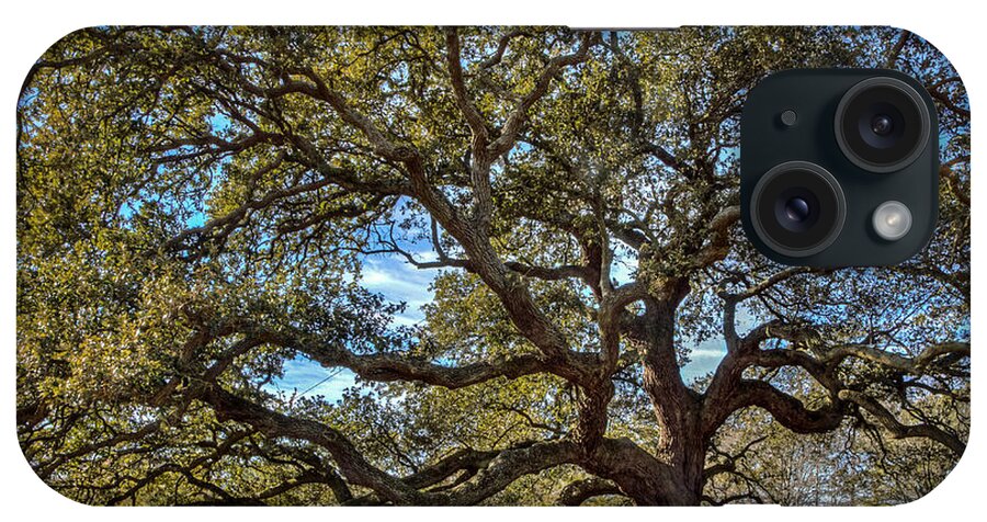 Emancipation Oak iPhone Case featuring the photograph The Emancipation Oak Tree at HU by Jerry Gammon