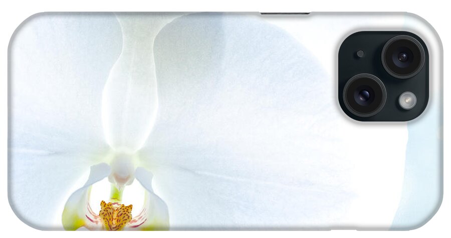 The Eye Of The Tiger iPhone Case featuring the photograph The Eye of the Tiger by Michelle Constantine