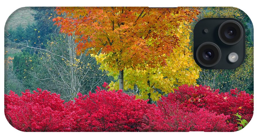 Autumn iPhone 15 Case featuring the photograph The Flame by Kirt Tisdale