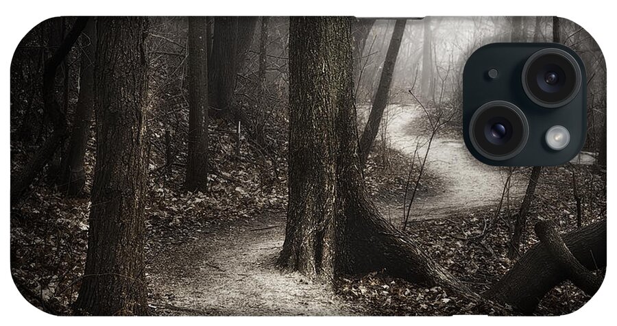 Path iPhone Case featuring the photograph The Foggy Path by Scott Norris